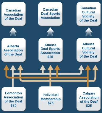 Membership Structure
